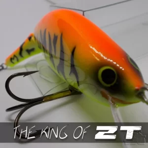The King of ZanderTime
